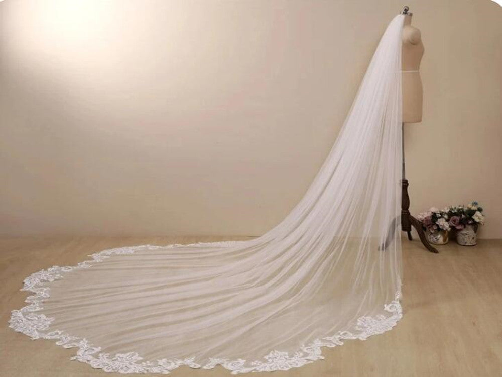 Lace trim veil