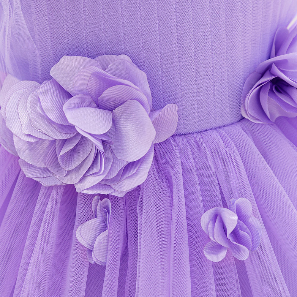 Lavender bloom